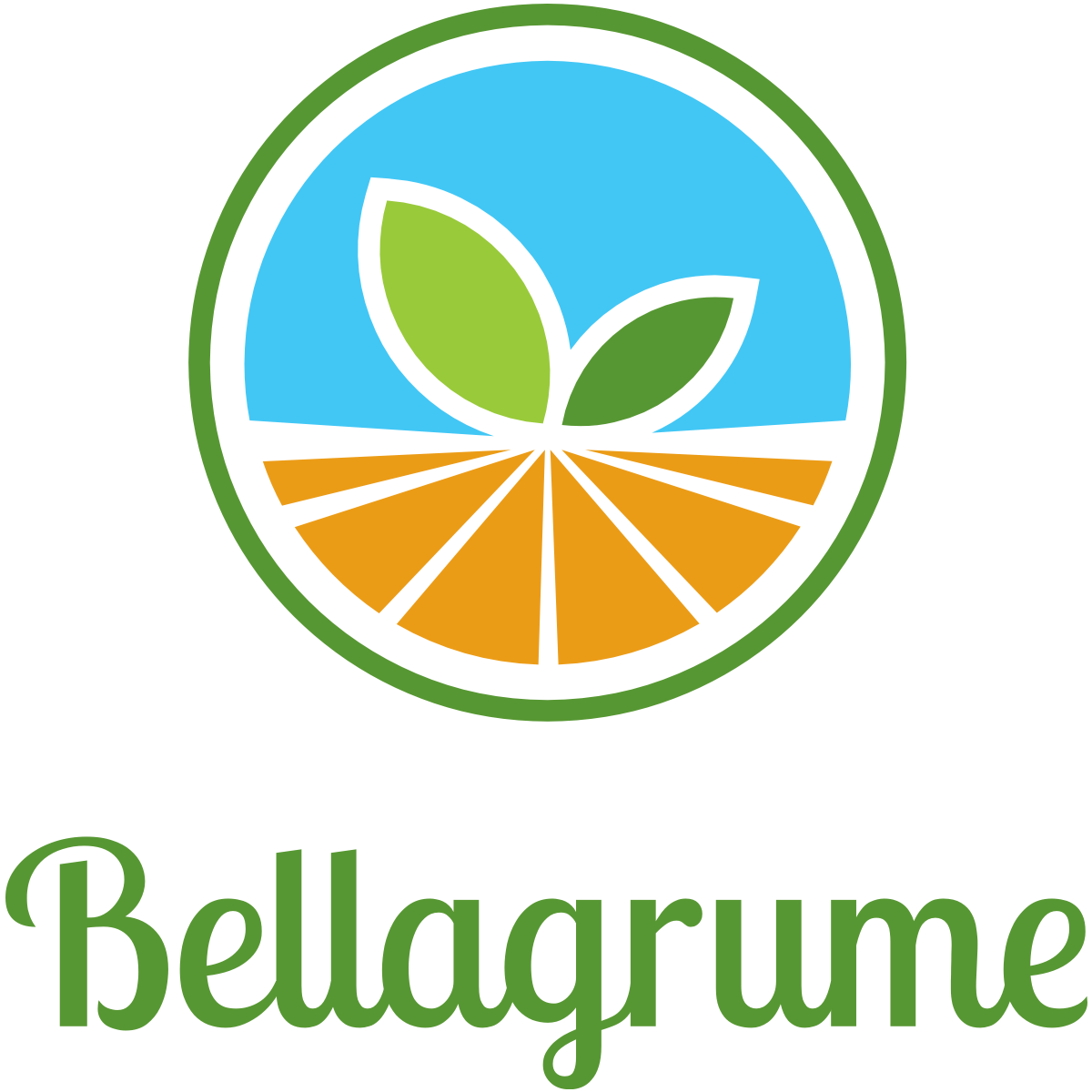 logo-site-e-commerce